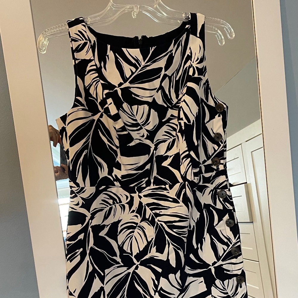 Sleeveless Navy & White Sheath Dress